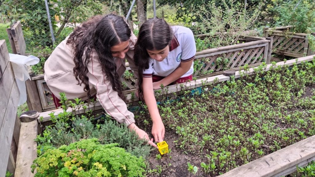 html5 bootstrap template